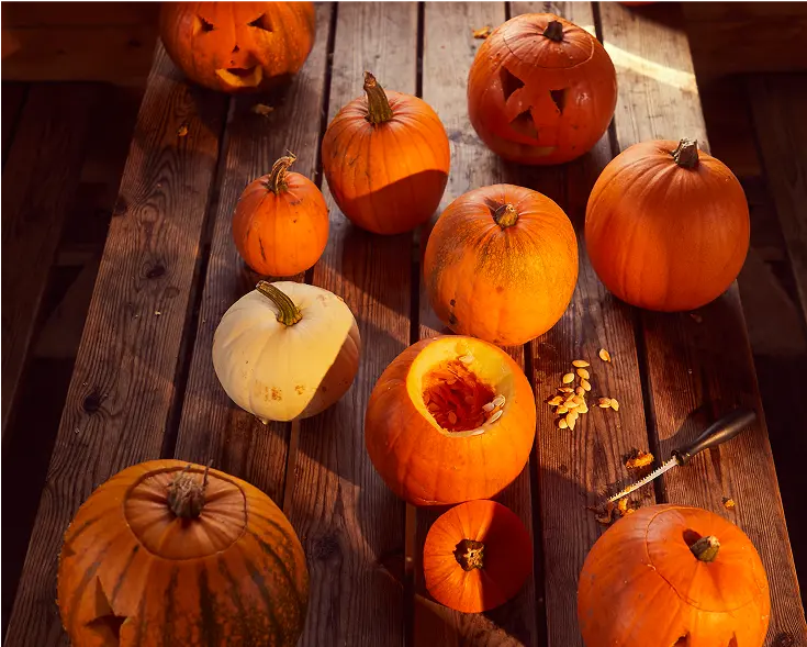 Pumpkin Carving