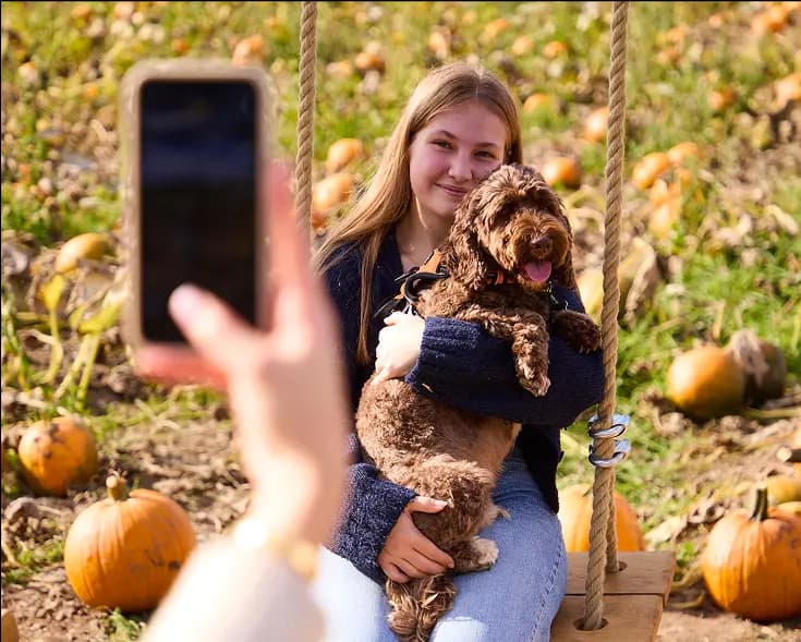 Pumpkin Themed Photo Ops